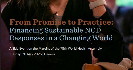 From Promise to Practice: Financing Sustainable NCD Responses in a Changing World